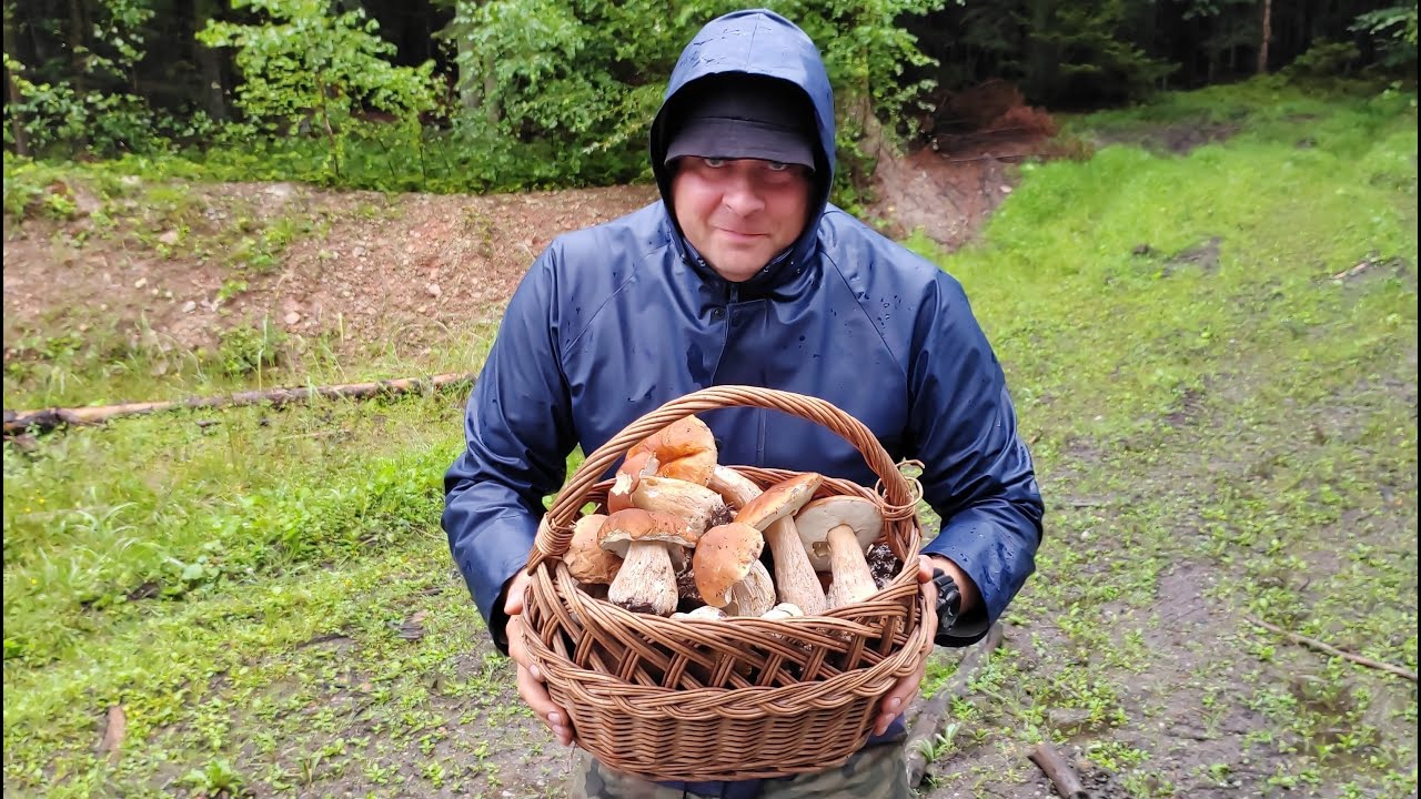 Piękne grzybobranie w deszczowe popołudnie