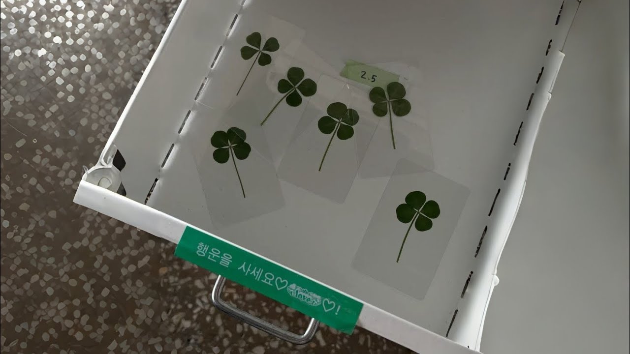 기적은 늘 당신 곁에 머물러요 ☘︎ | 가사없는 플레이리스트 [𝐏𝐥𝐚𝐲𝐥𝐢𝐬𝐭]