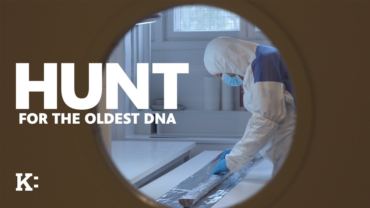 Охота за древнейшей ДНК &mdash; Трейлер | Knowledge Network