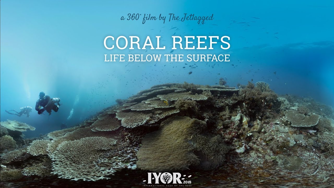 360 | Coral Reefs - Life Below The Surface (English)