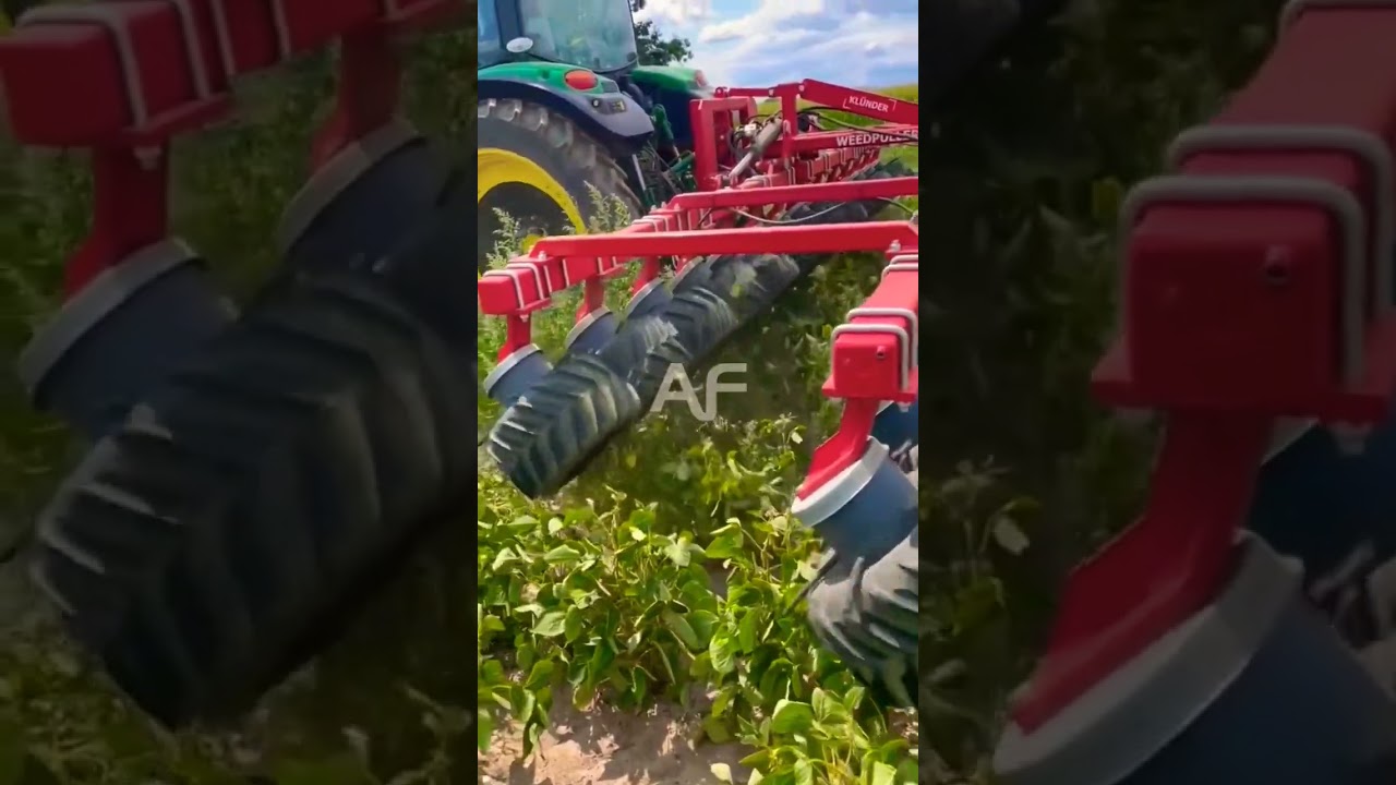 Discover the Game-Changing Weed Puller for Creative Agriculture