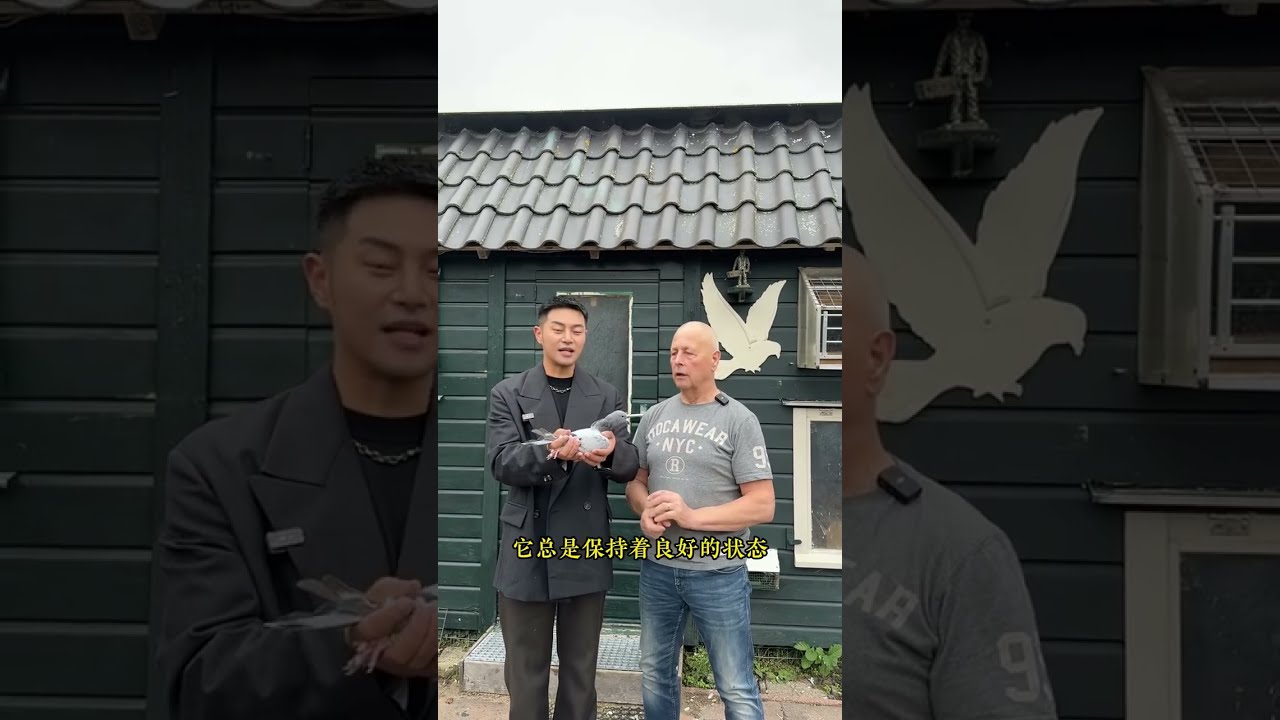 [Крупный аукцион: Вечная звезда] Блестящий дебют Зильверта! Кто станет владельцем лучшего голланд...