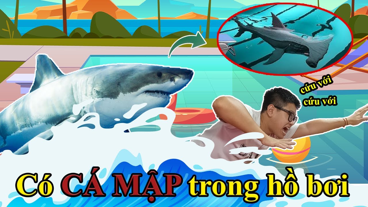 Sẽ ra sao nếu có CÁ MẬP trong hồ bơi? | Sharks And Minnows | Pi PLAY