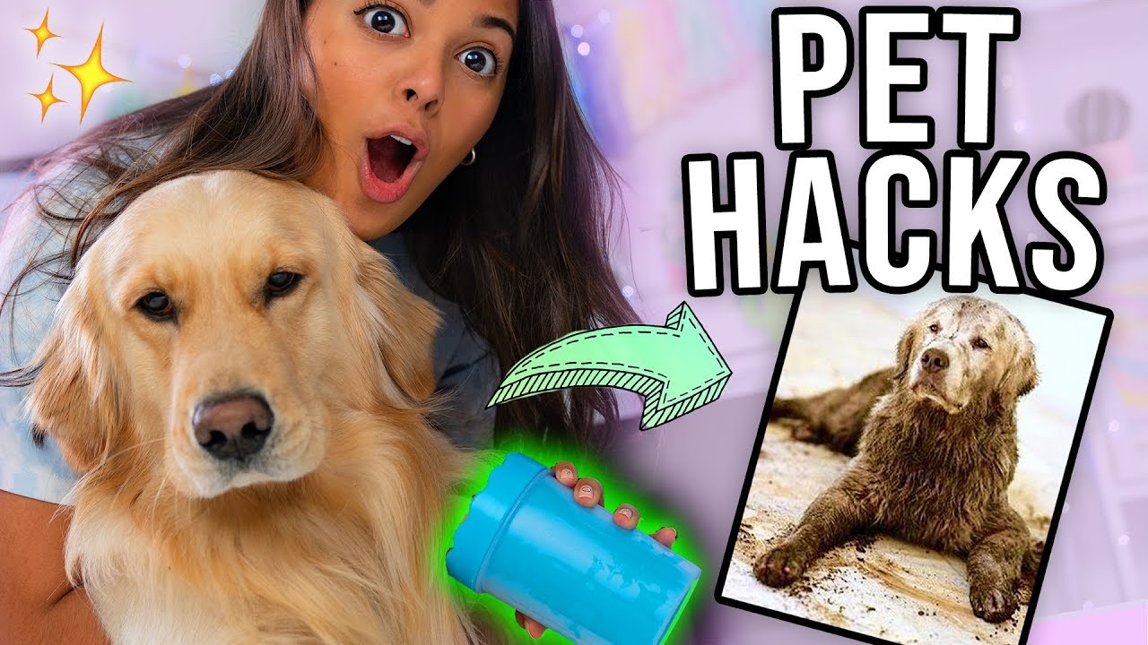 TESTING OUT WEIRD DOG GADGETS WITH JUPITER! 🐶Natalies Outlet