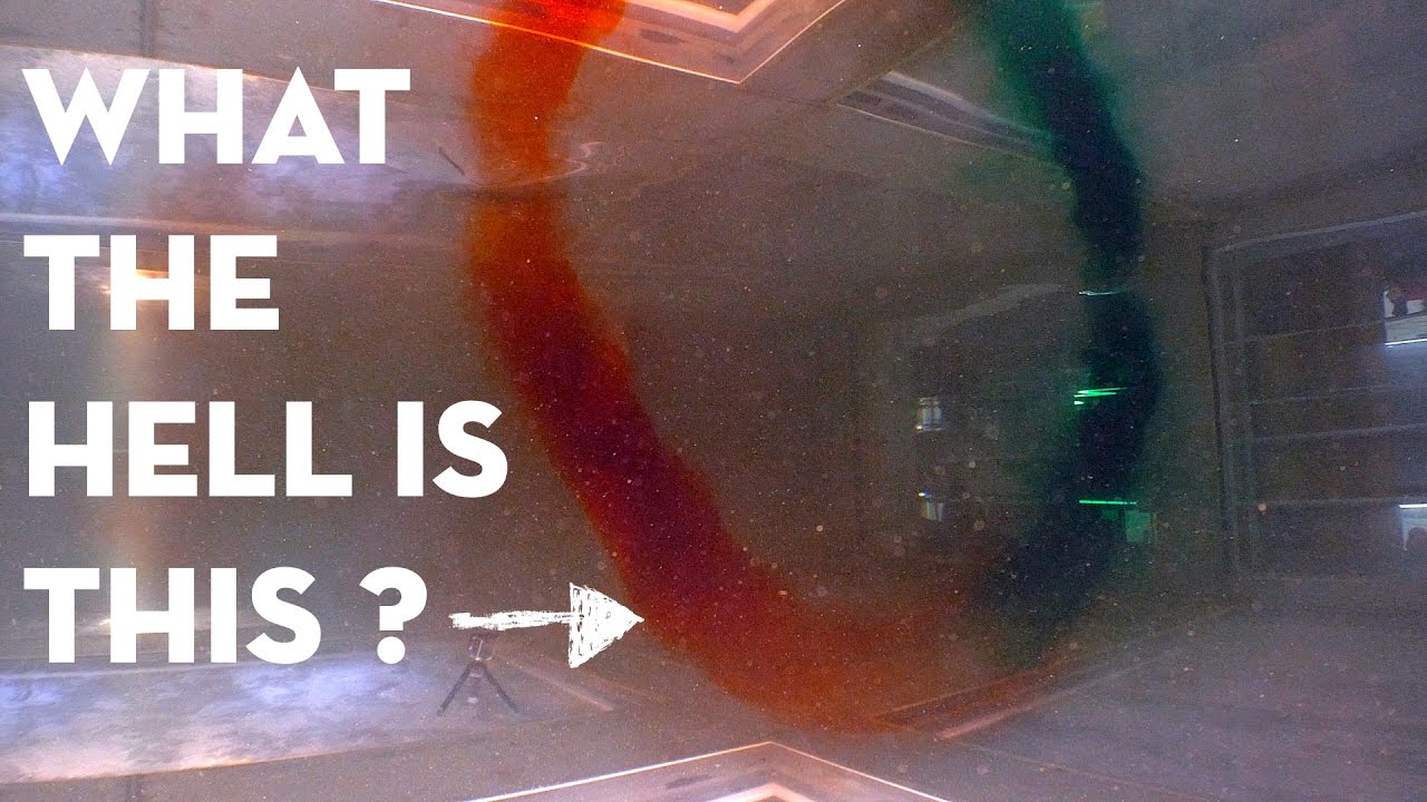 Ocean eddies are the coolest!