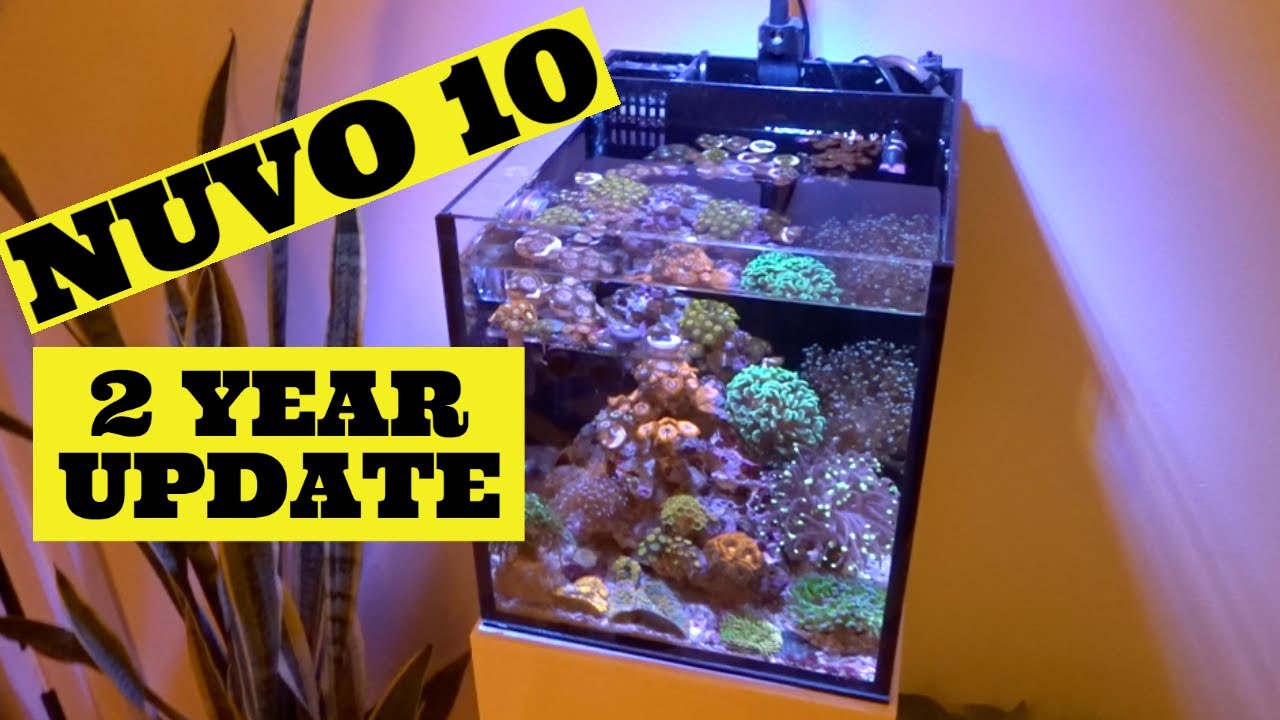 My Nuvo 10 is 2 Years Old!