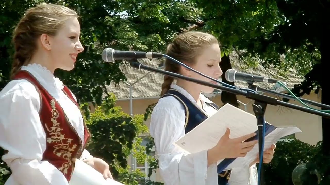 Сабор народне традиције [2011.]