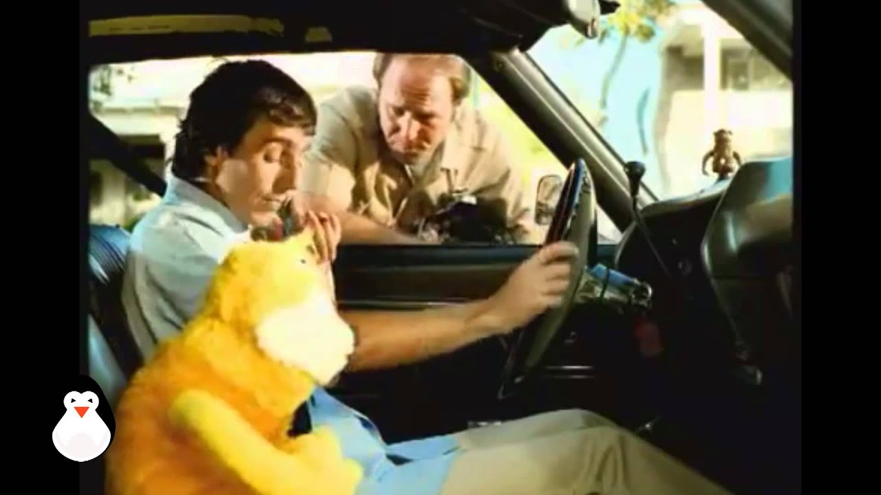 Flat Eric - Levi's