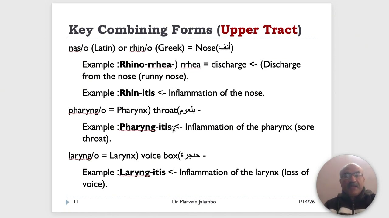 Medical Terminology   lecture 07