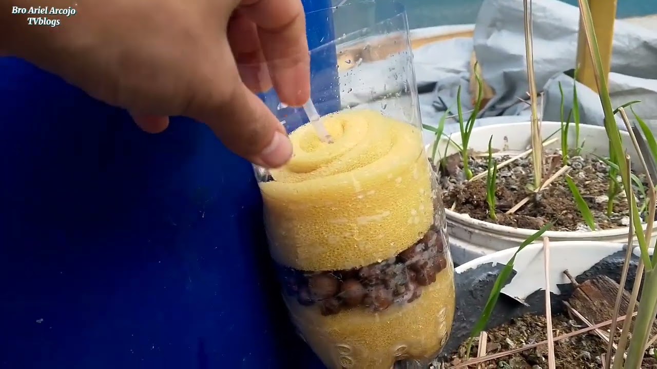 DIY sponge filter para sa alagang isda natin!
