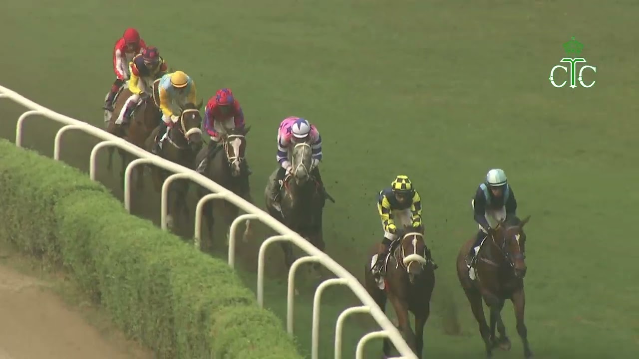 JULIETTE with C S Jodha up wins The Hpsl Indian Turf Invitation Cup(Gr - I) 2024