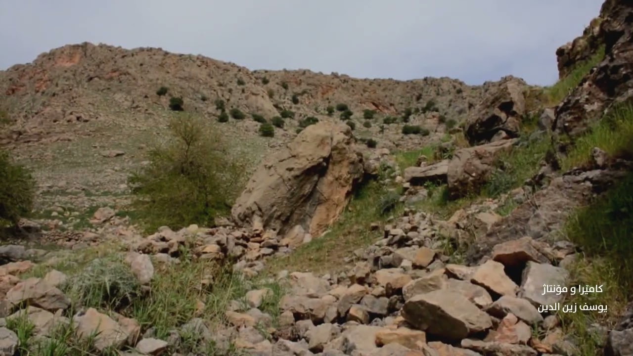 وەتەن هانەی قوڵ ، هۆنیار یاوەر هـەورامی