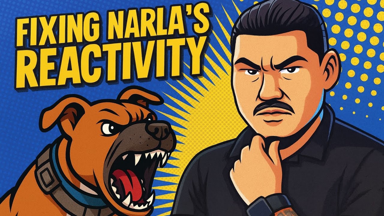 Fixing Dog Reactivity Around Other Dogs 🐾 | Narla’s Training Transformation with Pup Club