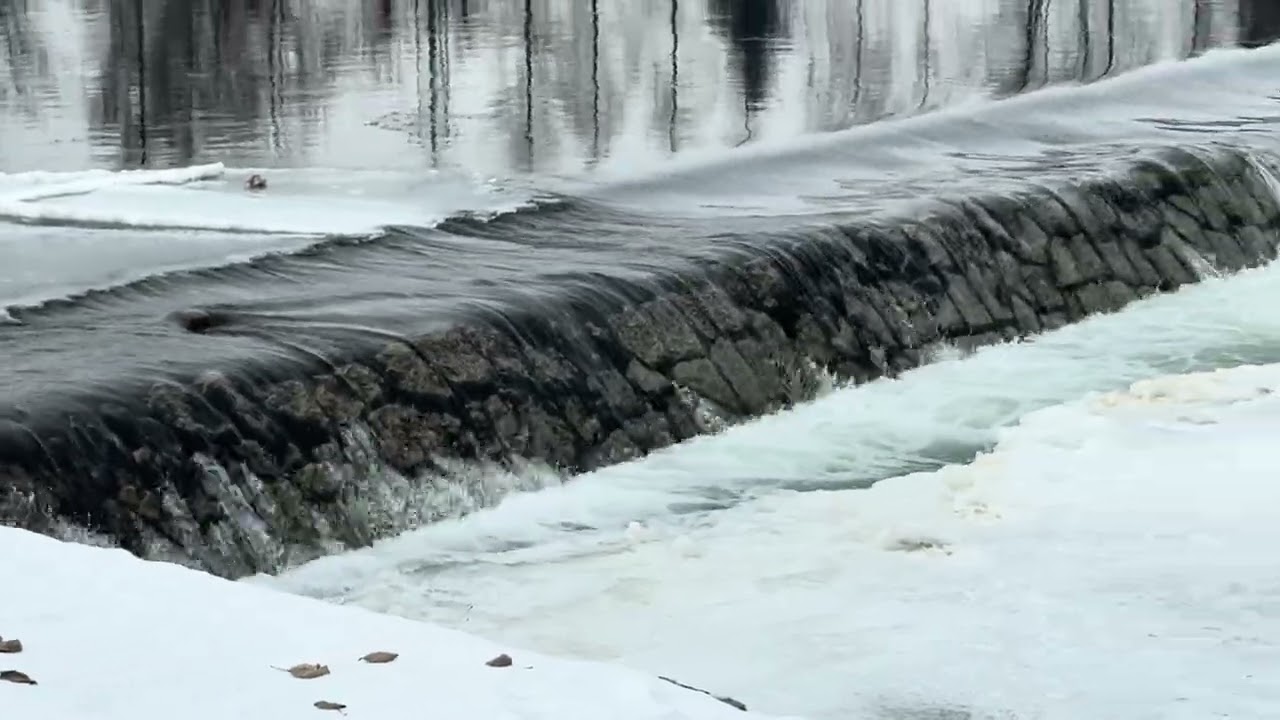 Pr&oacute;g Wodny na Rzece Dunajec Nowy Targ 2026   #video #videoshort #poland #polska