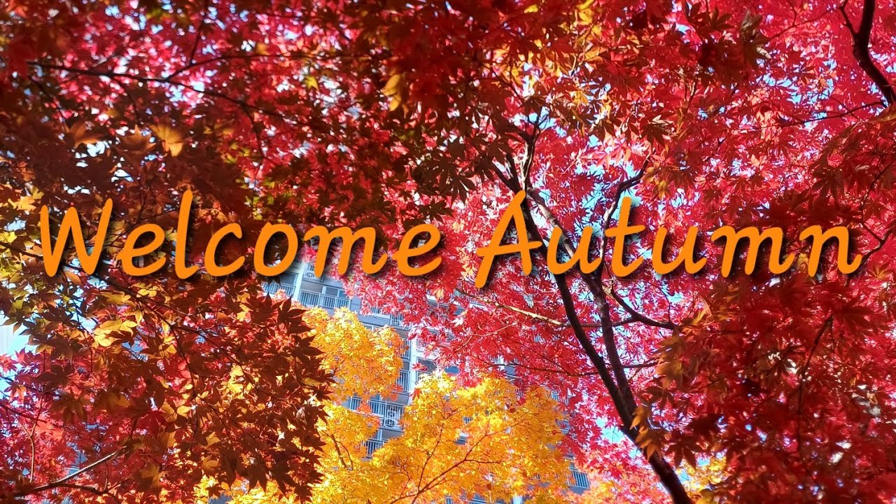 Plum-Welcome Autumn piano cover