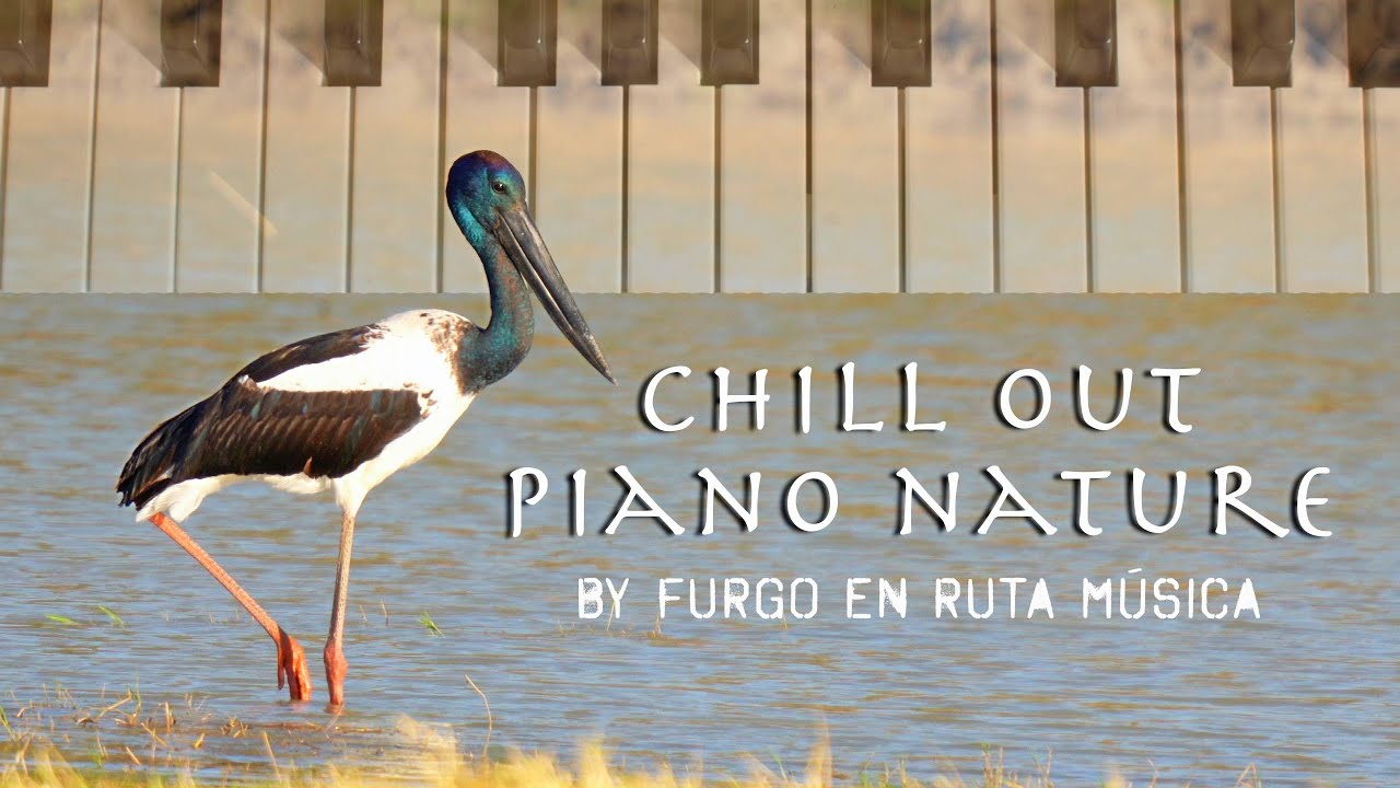 M&uacute;sica CHILL OUT RELAJANTE ANTIESTR&Eacute;S | Piano y naturaleza por Furgo en ruta