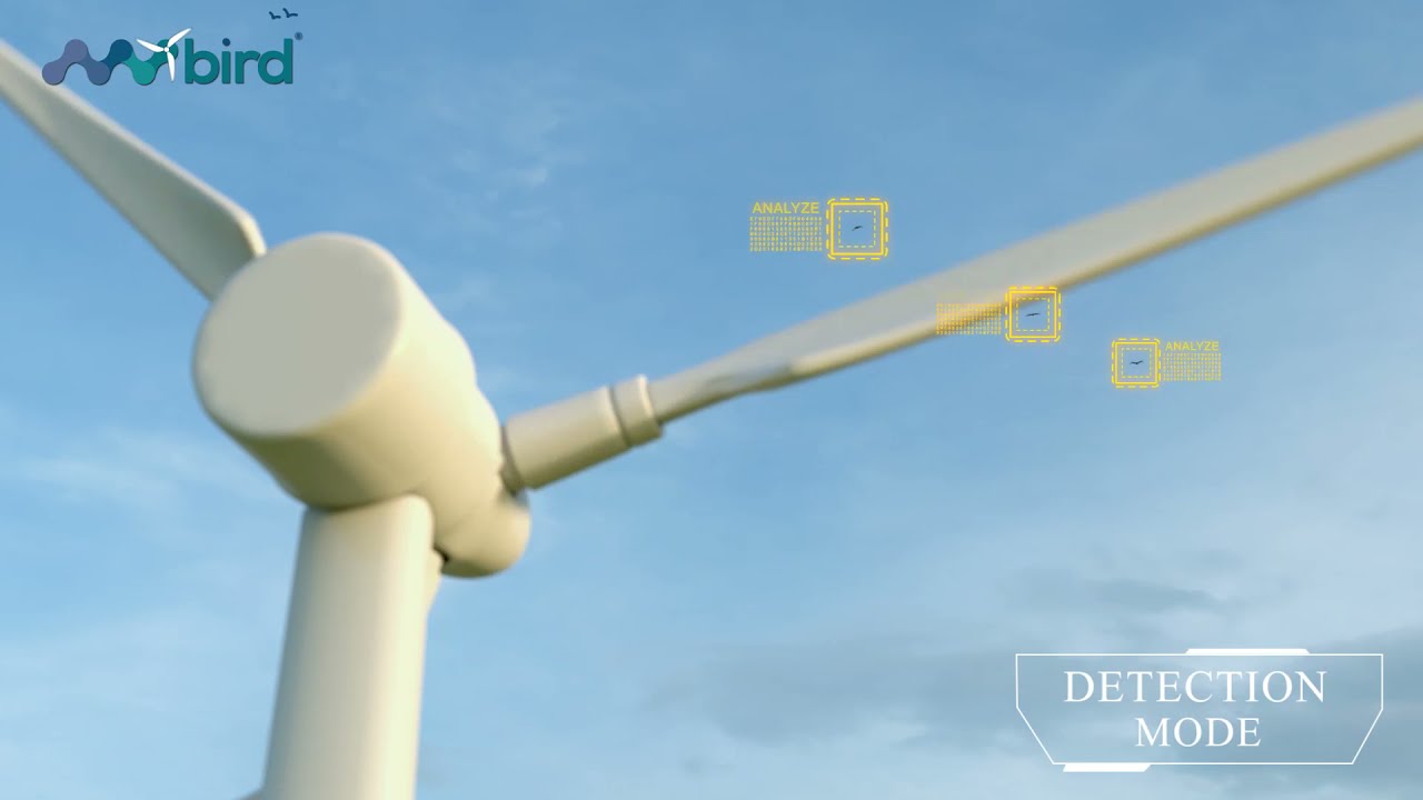 nvbird®️ - Bird Detection & Monitoring System