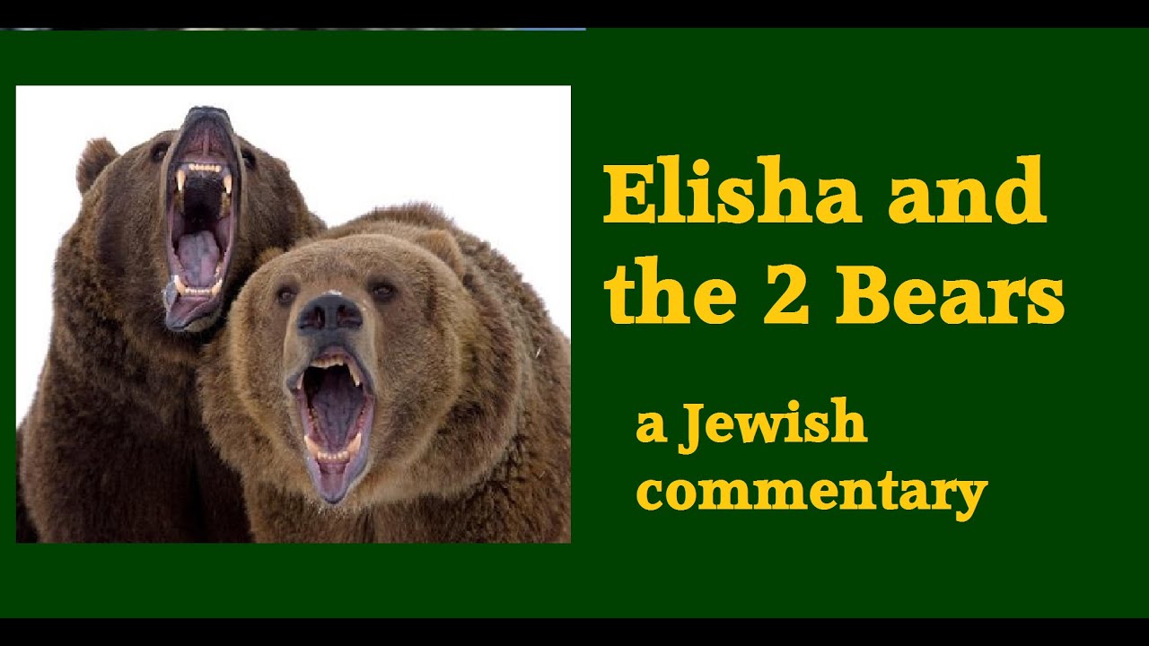 Elisha and the Two Bears: A Jewish Commentary on 2 Kings 2:23-24