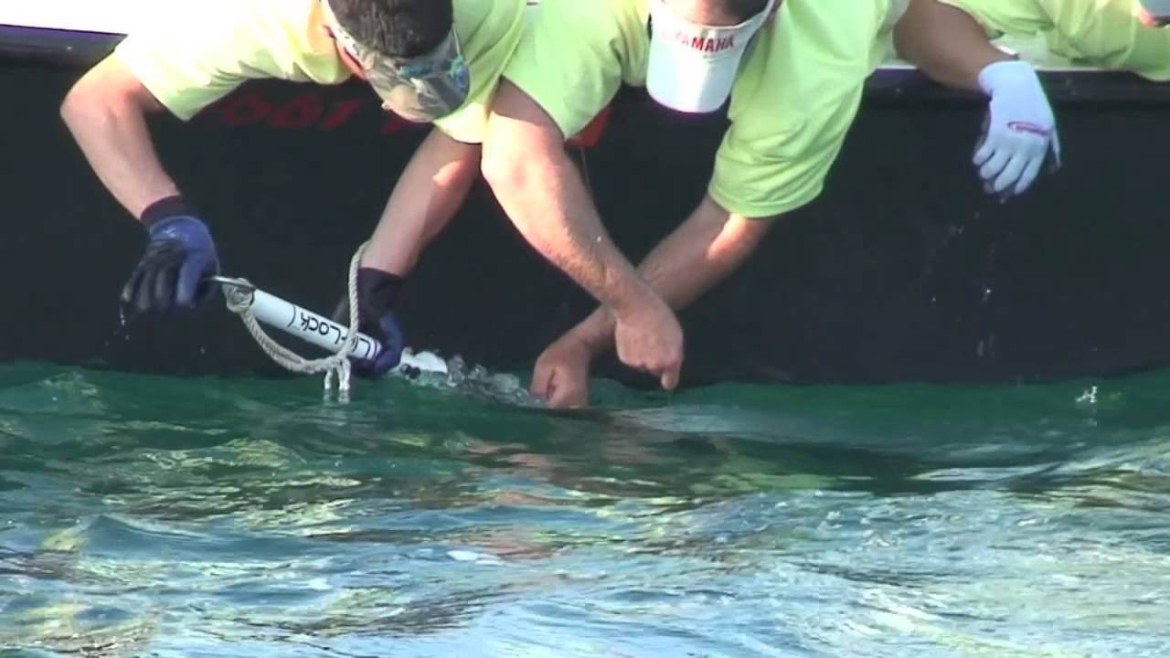 PTTS handeling of Tarpon 2013