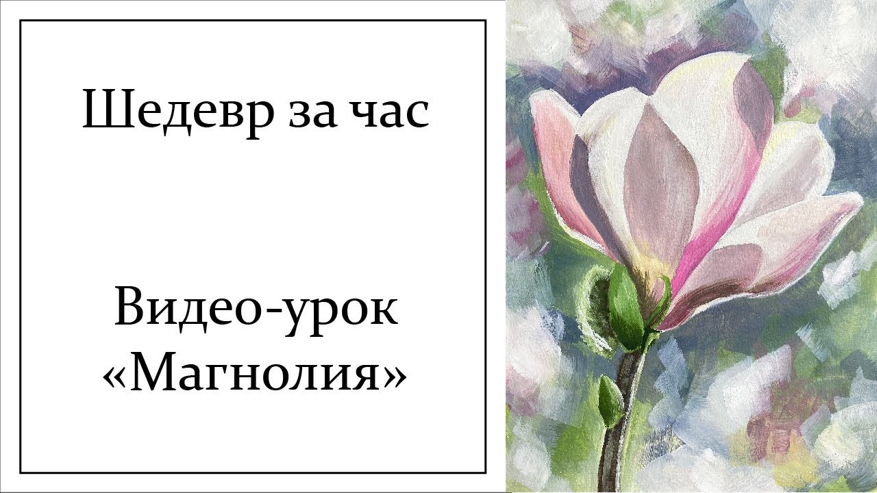 Как нарисовать магнолию? Видео-урок для начинающих