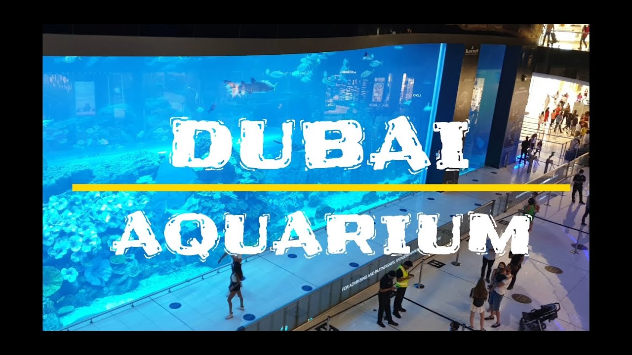 Dubai Aquarium and Underwater Zoo | Dubai Mall - UAE tourist place | Guinness book record holder