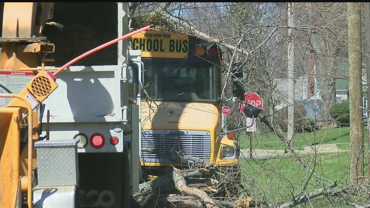 Tree falls on school bus in Warren