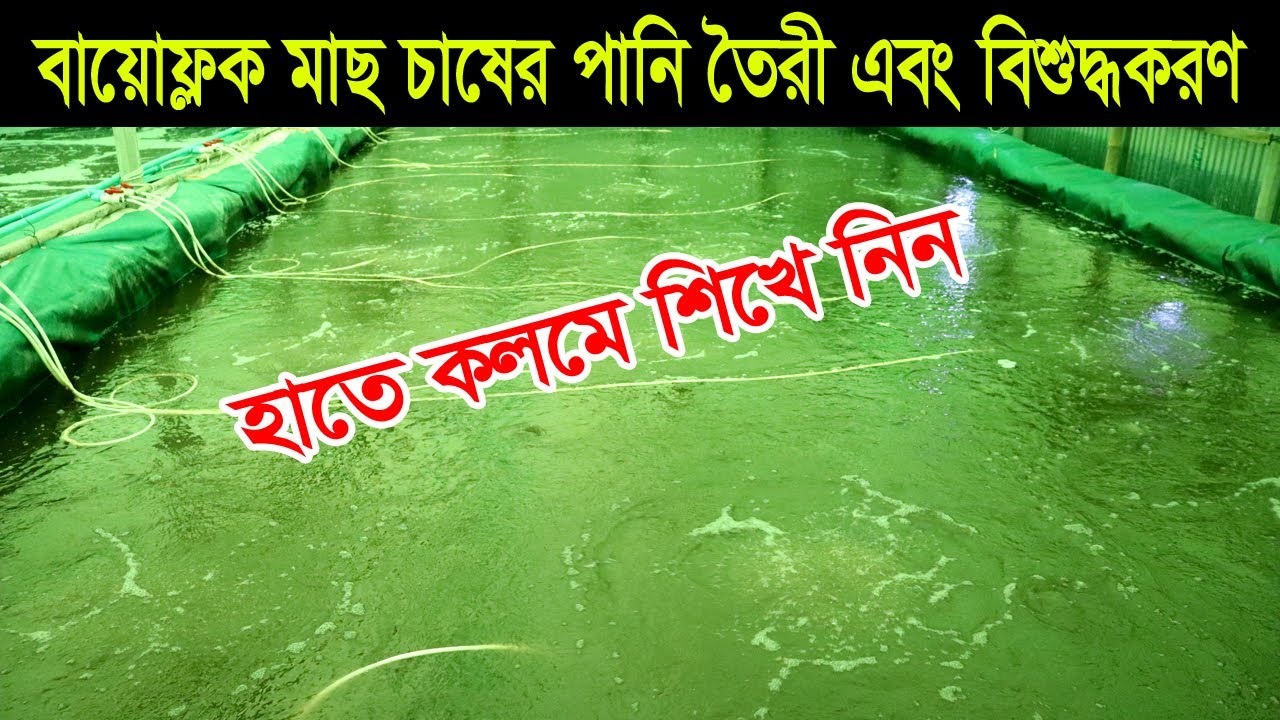 বায়োফ্লক মাছ চাষের পানি তৈরী এবং বিশুদ্ধ করার উপায়