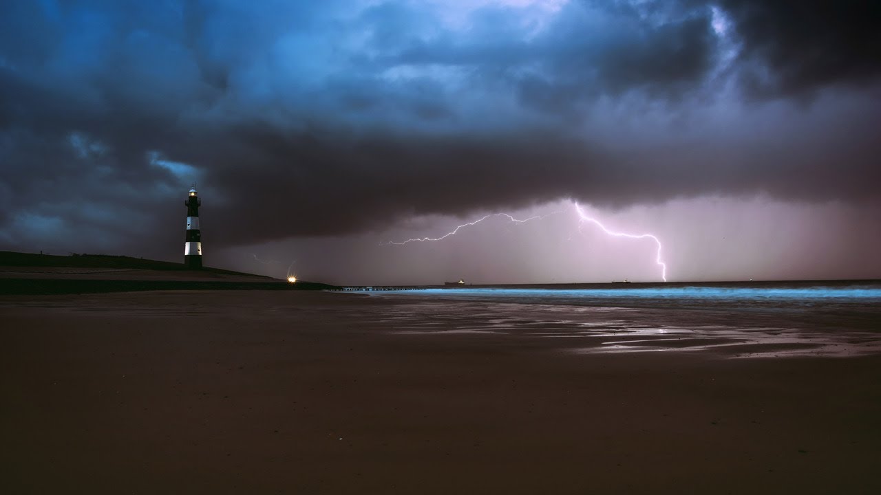 Weather Disaster 8