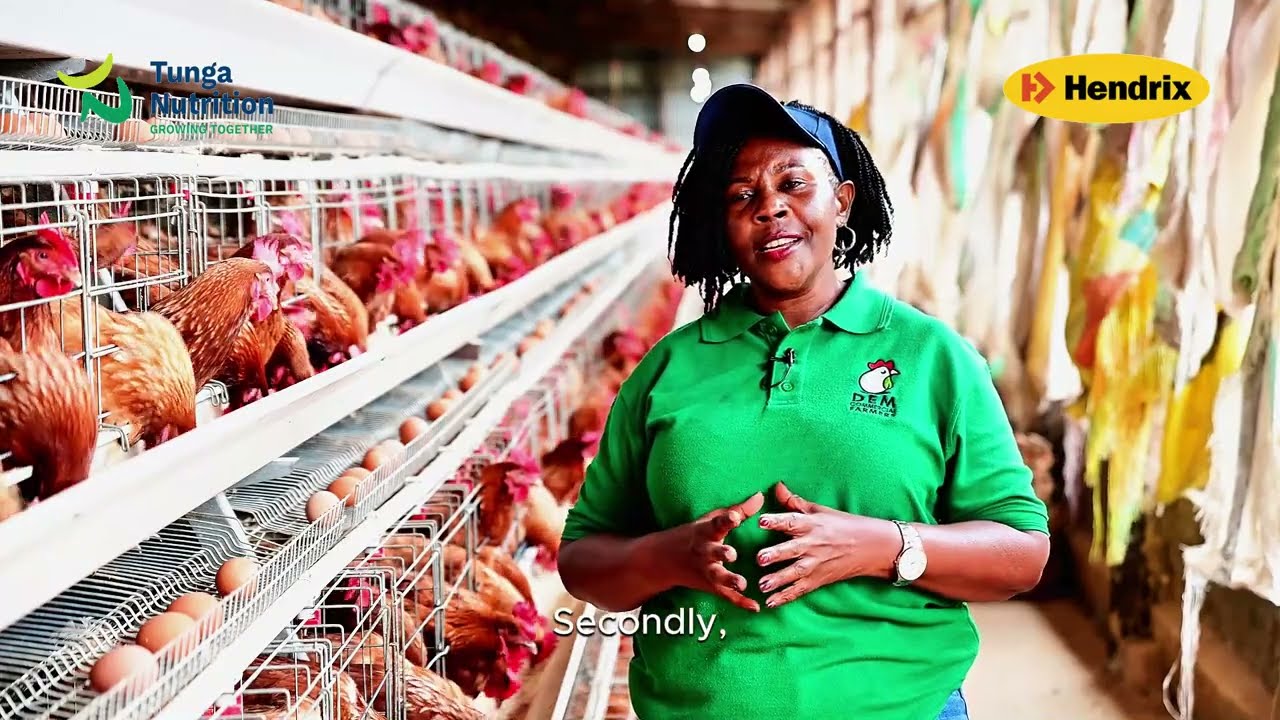 Testimony From a Real Farmer With Real Results || Hendrix Feed || Tunga Nutrition