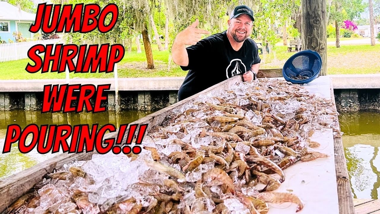 INSANE NIGHT TIME SHRIMP RUN-  Oak Hill Florida Dipping Shrimp Non-Stop!