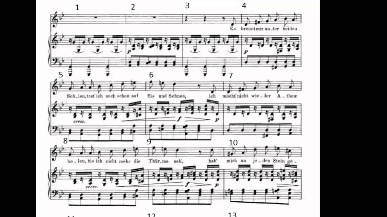 Schubert Teaches Chromatic Harmony