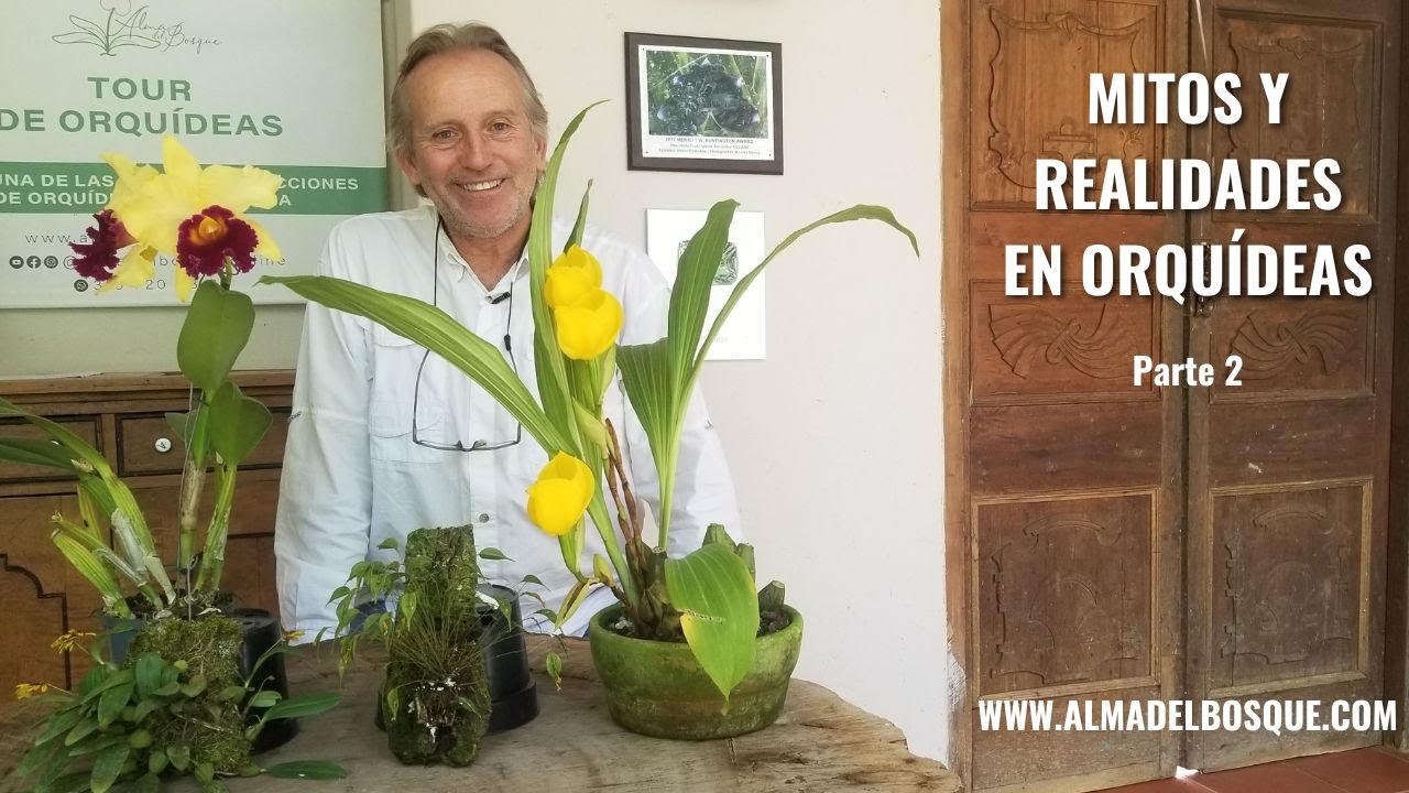 Mitos y realidades en orquídeas - Parte 2 - Alma del Bosque