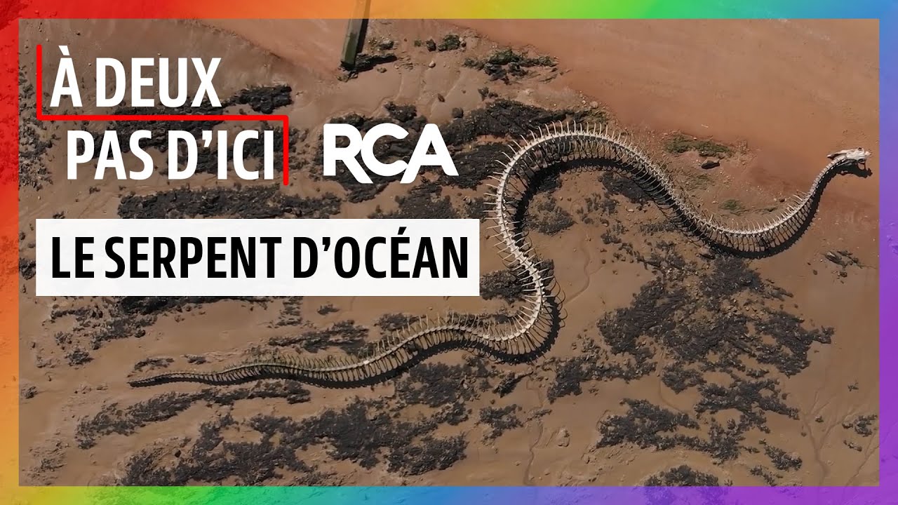 À Deux Pas D'Ici - Le Serpent d'Océan