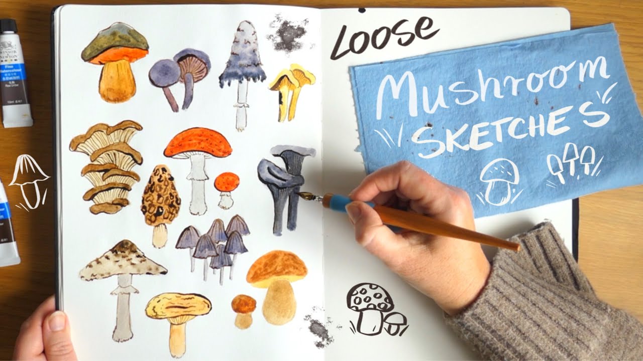 Painting Mushrooms in Watercolour & Ink | Relaxing Autumn Sketchbook Session