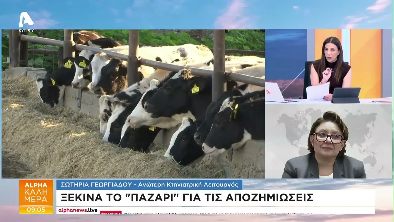 Αφθώδης πυρετός: Ξεκινά το «παζάρι» για τις αποζημιώσεις | AlphaNews Live