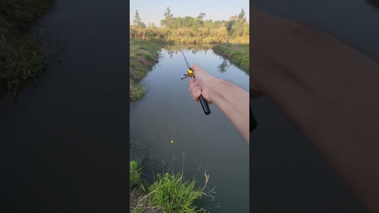 Carretilha de caneta shopee #fishing #fritonabeiradorio #pescaria #canalpescanativa