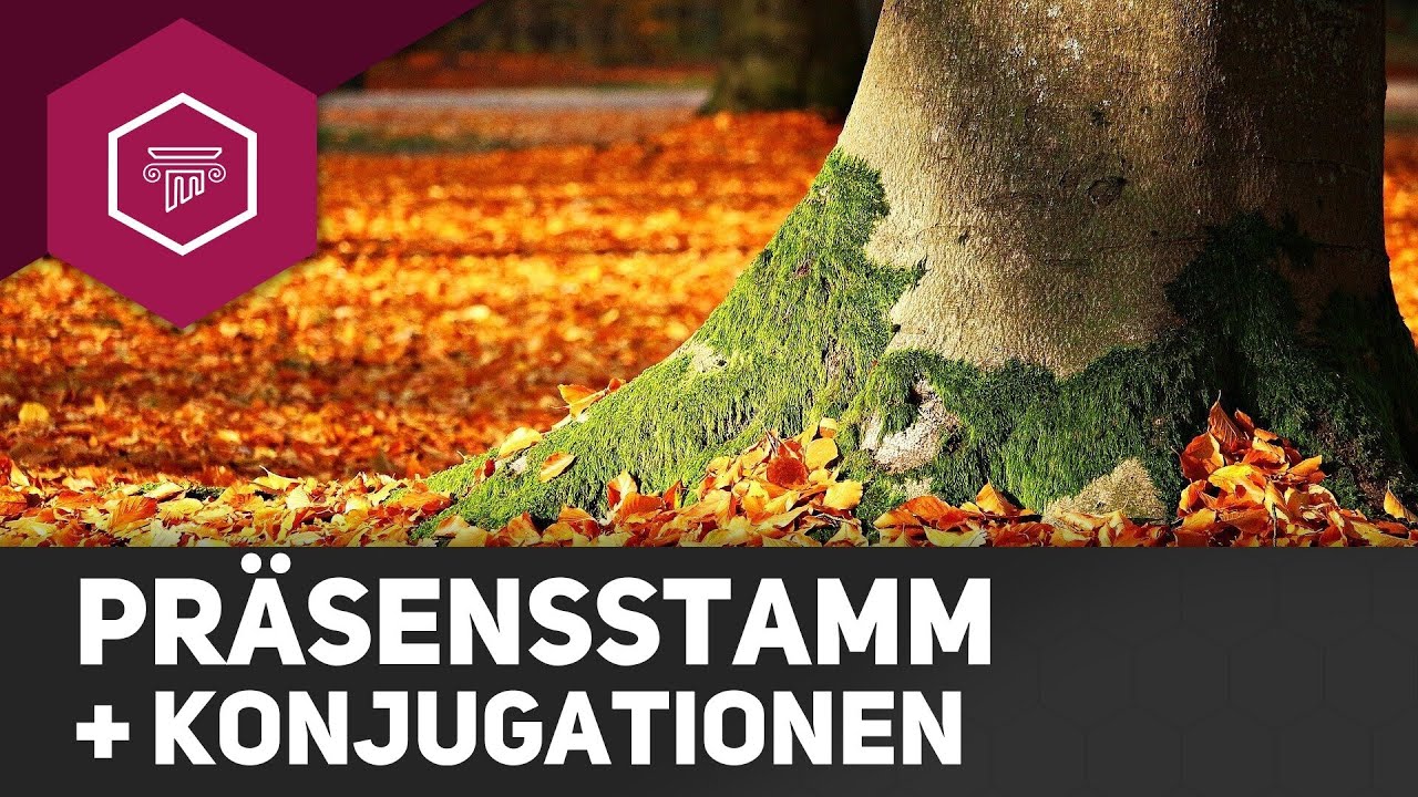 Präsensstamm + Konjugationen - Wortstamm (1)