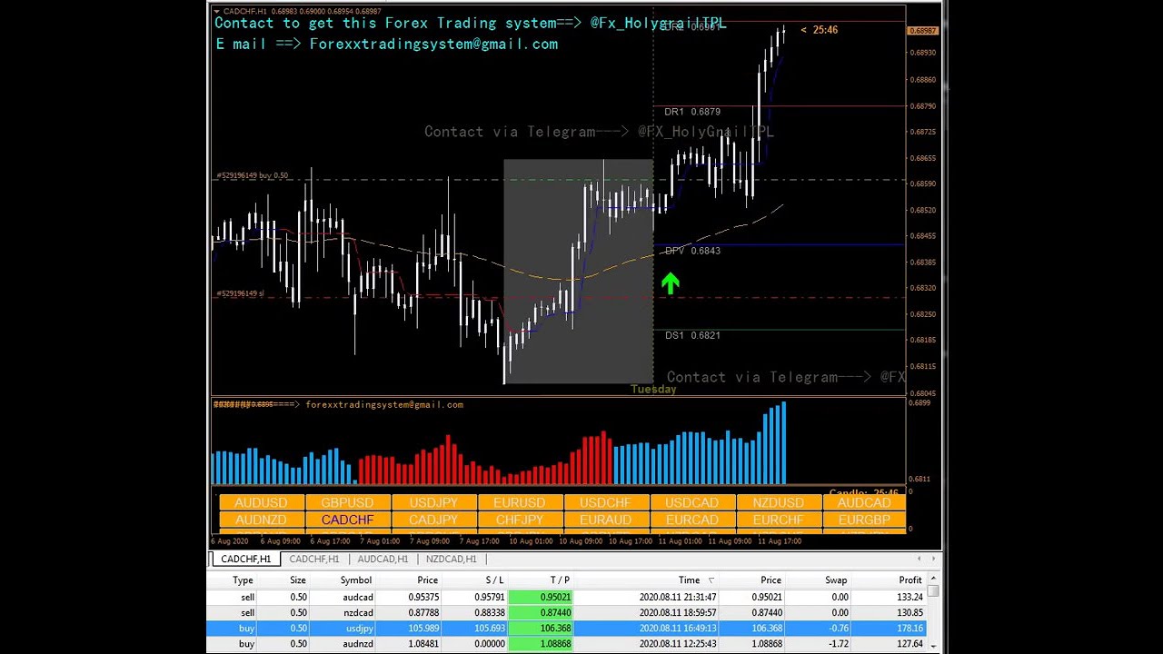 Forex Holy Grail System
