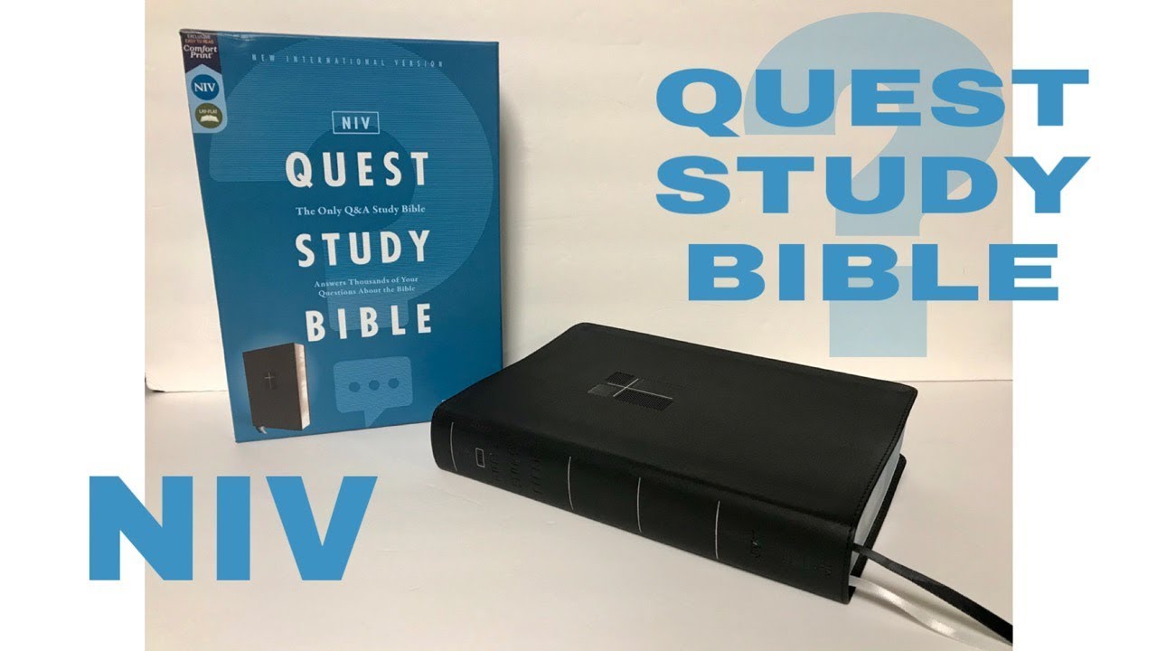 Обзор Библии NIV Quest Study