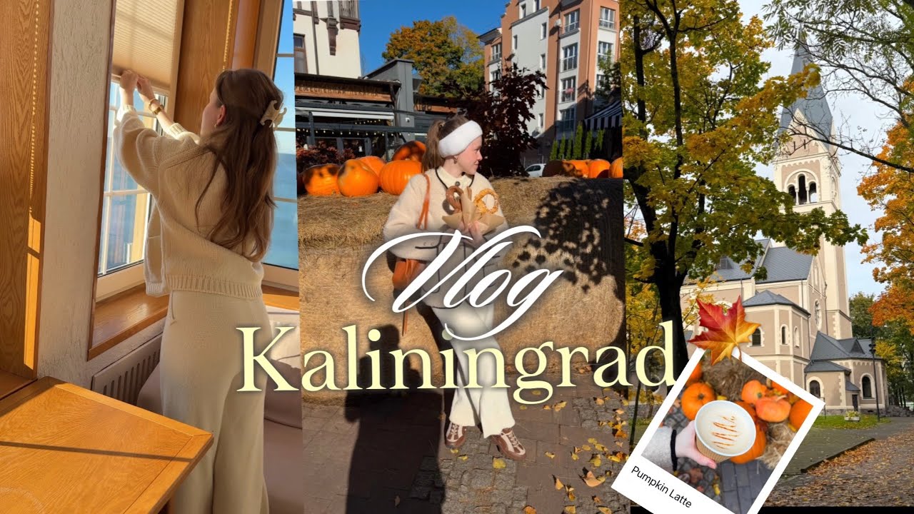 Влог из Калининграда | Вкусные и Интересные места, которые точно стоит посетить