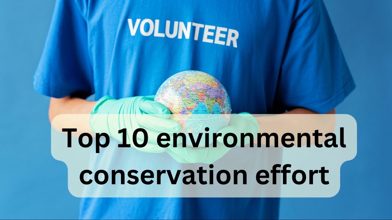 Top 10 Environmental Conservation Efforts Transforming Our Planet