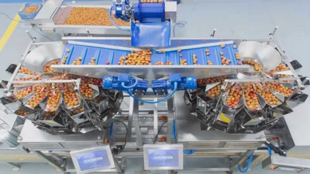 Línea para envasar tomates cherry 120 bpm