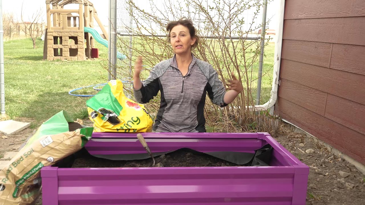 Making an Asparagus Bed: How to grow asparagus