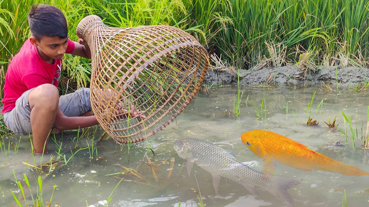 amazing polo fishing video  -  boys catching fish by polo -  fishing from mud water part - 2
