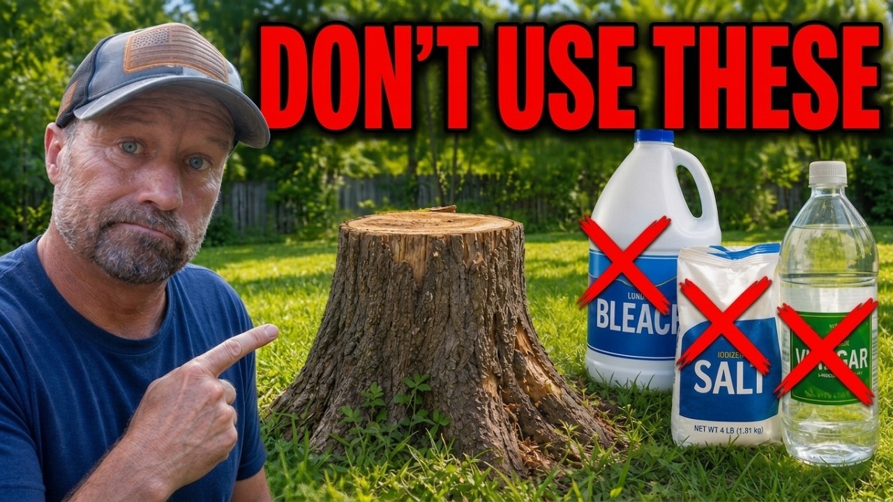 Do These Stump Killers Even Work?