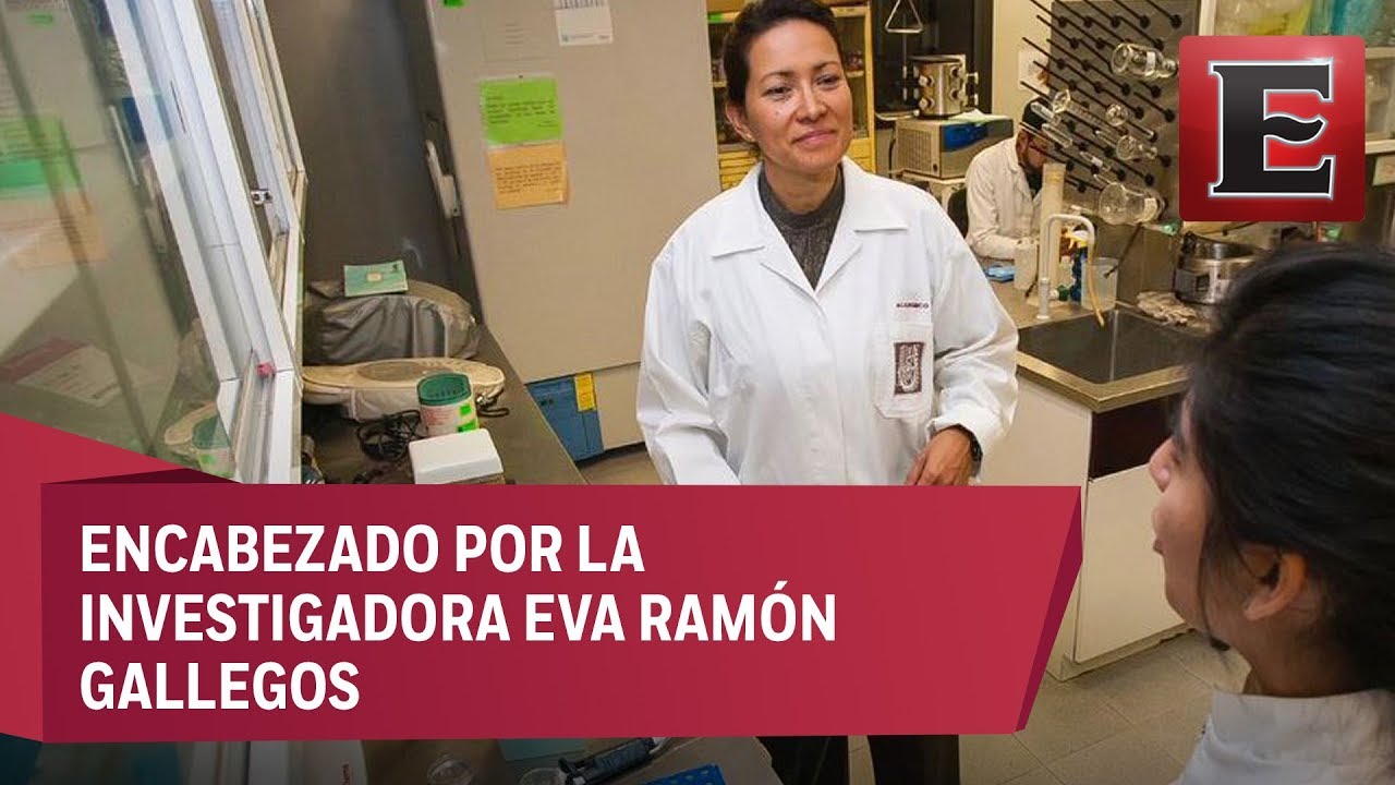 Estudio del IPN logra eliminar el virus del papiloma humano