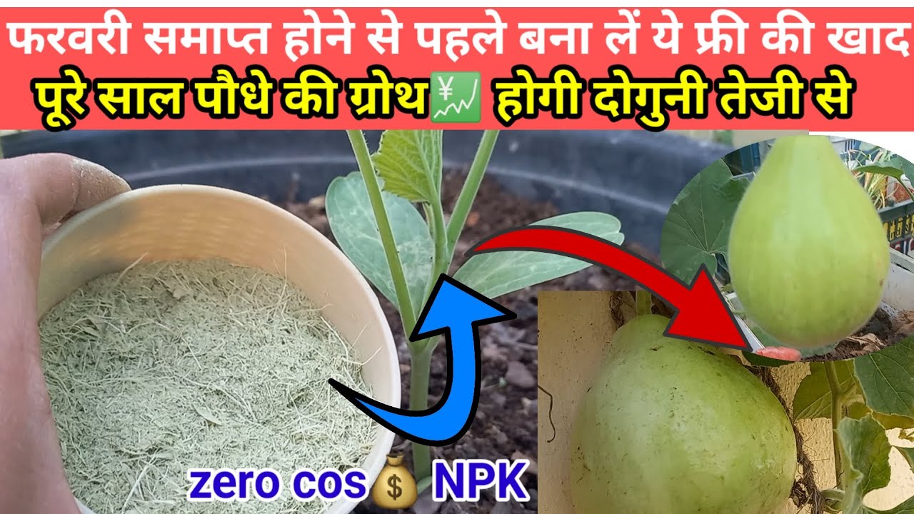 🟢HOW TO MAKE NPK COMPOST AT HOME AT ZERO COST💰, मात्र 5 दिन में घर पर फ्री में बनाए NPK 🌿 
