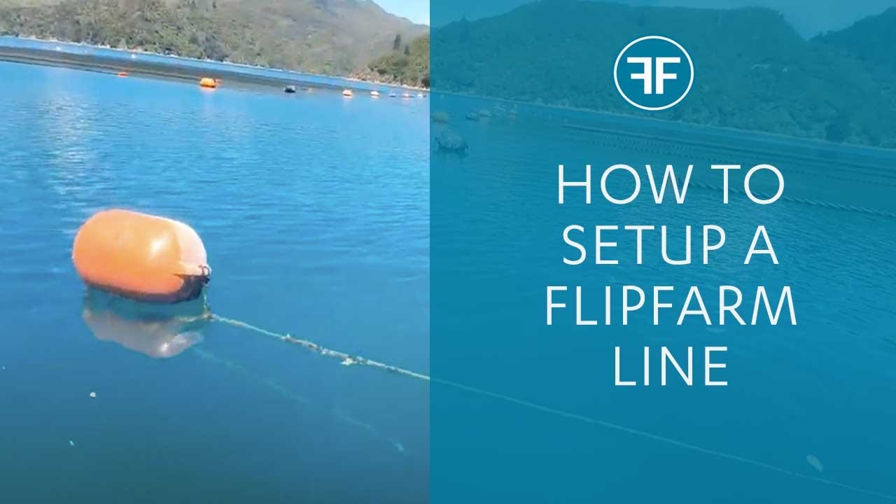 FlipFarm line setup