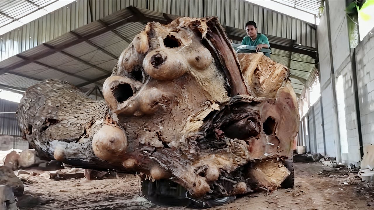 This rare wood has long been coveted by the Arab Sultan: Paid 8,000 Dollars in cash