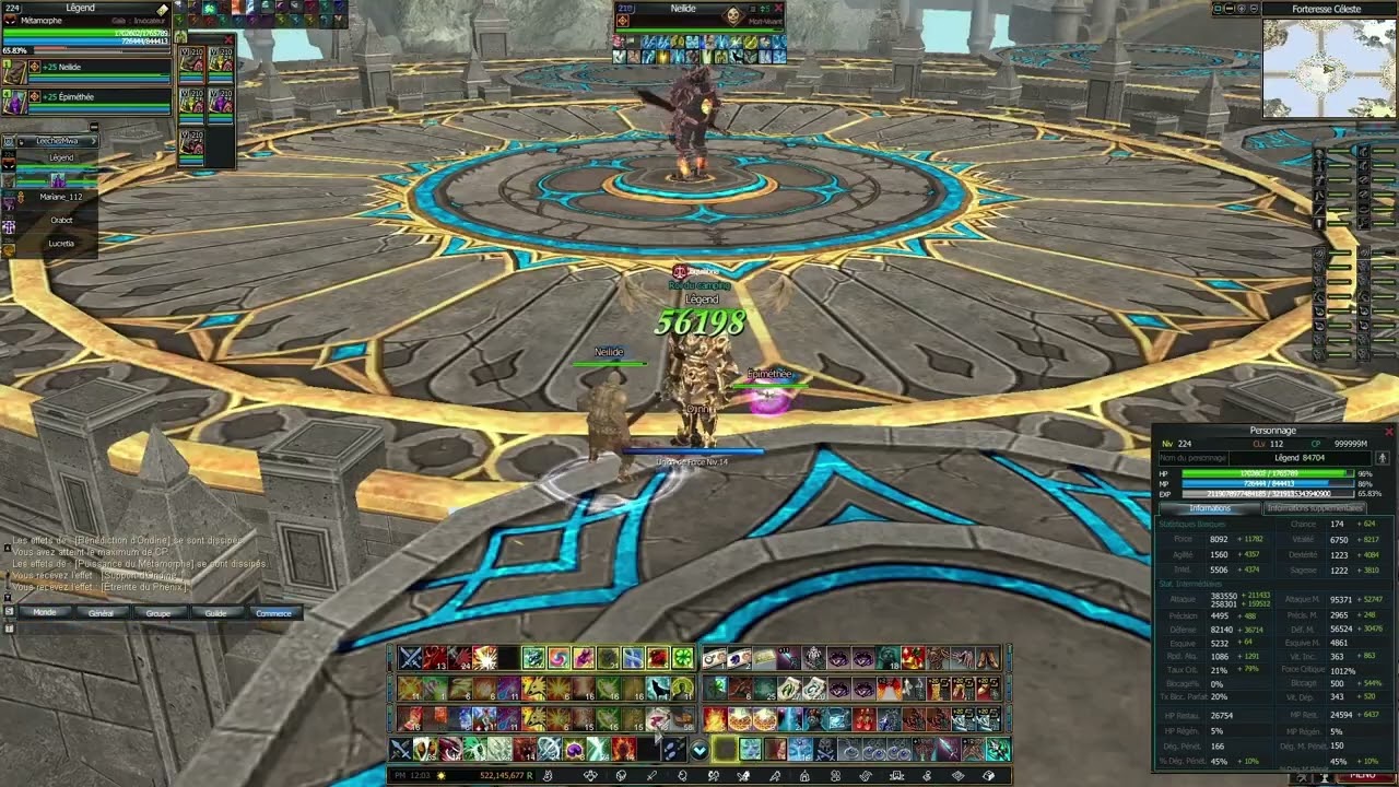 Rappelz Sky Fortress - Beast Master without pet damages